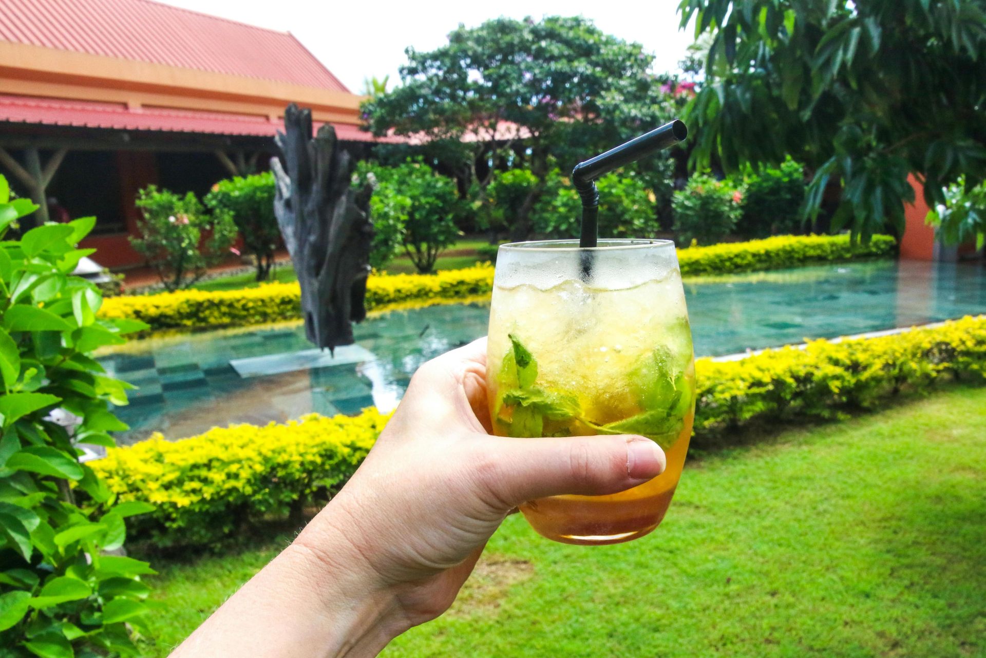 A hand holding an icy cocktail in a lush garden with a pool view, ideal for relaxation.