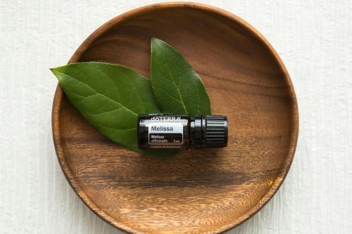 A wooden plate holding a bottle of Melissa essential oil with fresh green leaves for a natural touch.