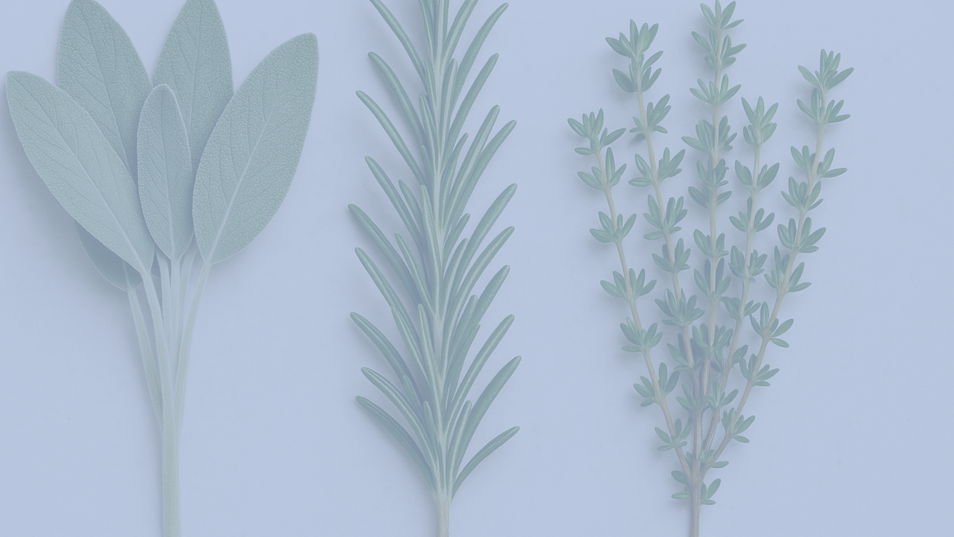 a trio of freshly picked herbs with a light blue overlay